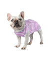Etdane Recovery Suit for Dog cat After Surgery Dog Surgical Recovery Onesie Female Male Pet Bodysuit Dog cone Alternative Abdominal Wounds Protector Purple StripeX-Large