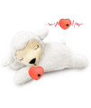 Puppy Behavioral Training Aid Toy for Anxiety Relief Heartbeat Plush Toy with Automatic Timing and Calming Aid for Dogs Cats Pets Puppies Sleep Aid Separation Anxiety Heartbeat Stuffed Animal White
