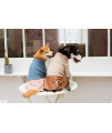 Touchdog ? 'Modress' Fashion Designer Dog Sweater and Dress