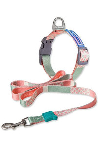 Touchdog ? 'Trendzy' 2-in-1 Matching Fashion Designer Printed Dog Leash and Collar