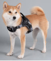 DOG HELIOS ? 'Scorpion' Sporty High-Performance Free-Range Dog Harness