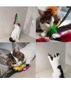 TIENAILING Cat Feather Toys Replacement Cat Wand Refills, 10 PCS Natural Bird Feather Refill Worm Refills, Cat Toy Replacement Feathers for Cat Wand