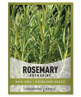 Rosemary Seeds for Planting - It is A great Heirloom, Non-gMO Herb Variety- great for Indoor and Outdoor gardening by gardeners Basics