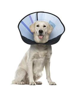 Calm Paws Dog Caring Collar W/Calming Lg.