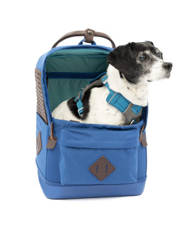 Kurgo Nomad - Dog Carrier Backpack, Hiking Backpack for Small Dogs, Pet Travel Back Pack Carrier, Interior Safety Tether, Waterproof Bottom, Dual Carry Handles, Holds Pets Up to 15 lbs - Blue