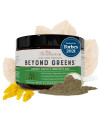 Beyond greens Super greens Powder Superfood - Delicious Debloating green Powder - Matcha greens Blend Superfood Powder wchlorella, Echinacea, Probiotics for Immune Support Energy by Live conscious