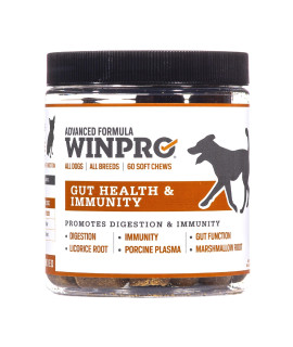 WINPRO Pet gut Health grain-Free Plasma-Powered Soft chews, 60 chews, Natural Blood Protein Supplements for Dogs Supporting Digestive Health and Immunity, Made in The USA