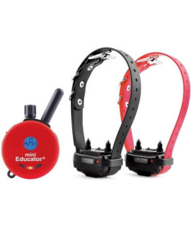 Mini Educator E-collar ET-300 ET-302 Dog Training collar System with Remote - 12 Mile Range - Waterproof, Vibration, Sensation - Includes eOutletDeals Pet Towel (2 Dog System - ET-302 RED)