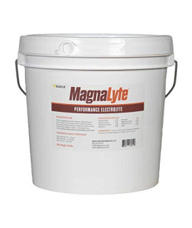 MagnaLyte Loose Salt and Electrolytes for Horses by Eagle Equine | Mineral sea Salt, Trace Minerals, Electrolytes | 20 Pound Bucket