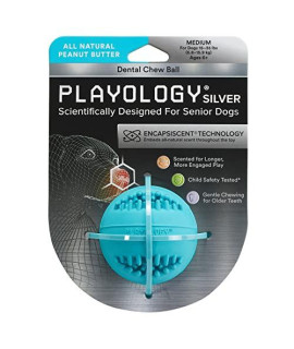 Playology Silver - Dental chew Ball Dog Toy, Medium - Designed for Senior Dogs (15-35lbs) - Engaging All-Natural Peanut Butter Scent - Non-Toxic Materials and Moderate chewing for Older Teeth