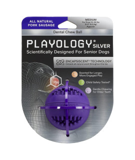 Playology Silver - Dental chew Ball Dog Toy, Medium - Designed for Senior Dogs (15-35lbs) - Engaging All-Natural Pork Sausage Scent - Non-Toxic Materials and Moderate chewing for Older Teeth