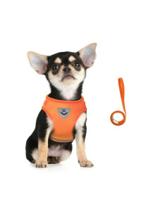 FEimaX Dog Harness and Leash Set, No Pull Soft Mesh Pet Harness for Walking Escape Proof Small Cat Step-in Adjustable Vest with Reflective Strip Fit Puppy Kitten Rabbit
