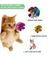 WSYUB 42Pcs Crinkle Balls Cat Toy and Spring- 20Pcs Mylar Crinkle Ball Cat Toy, 10Pcs Sparkle Ball Tinsel Pom Poms Glitter, 12 Plastic Spring Cat Toy, Richful Cat? Favorite Toy Set for Interacting