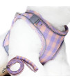 Charmsong Reflective Dog Harness Basic Plaid Soft Chest Vest For Kitties Puppy Small Pets 150Cm Leash With Easy Control Handle Xxs