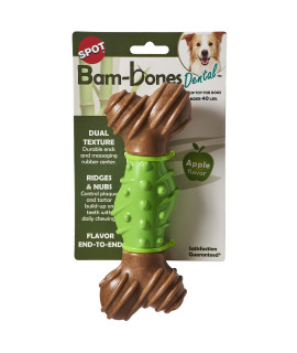 SPOT by Ethical Products - Bambone Dental Bone - Durable Dog chew Toy for Aggressive chewers - great Dog chew Toy for Puppies and Dogs Dog Toy - Large - Apple