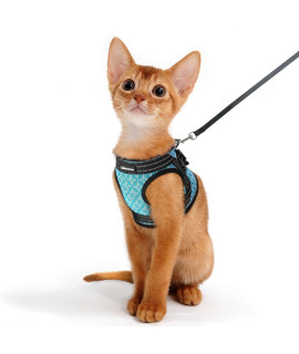 Catromance Cat Harness And Leash, Escape Proof Kitten Harness And Leash Set For Walking, Adjustable Cat Vest Harness For Kittens, Breathable Kitty Harness With Reflective Strips And Easy Control