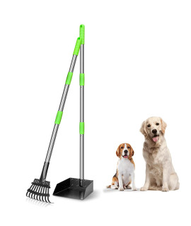TOOGE Pooper Scooper, Dog Pooper Scooper Long Handle Stainless Metal Tray and Rake for Large Medium Small Dogs Heavy Duty (Green) (A-Standard)