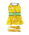 Ladybugs and Daisies Dog Dress with Matching Leash (X-Small)