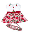 Strawberry Picnic Dog Dress with Matching Leash (Medium)