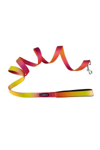 Doggie Design Ombre Leash (1 inch Wide x 6 feet Long, Raspberry Pink and Orange)