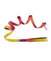 Doggie Design Ombre Leash (5/8 inches Wide x 4 feet Long, Raspberry Pink and Orange)