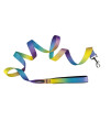 Doggie Design Ombre Leash (5/8 inches Wide x 4 feet Long, Lemonberry Ice)