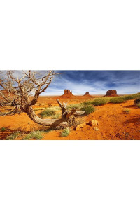 Awert 72X16 Inches Reptile Habitat Background Orange Desert Terrarium Background Durable Polyester Background