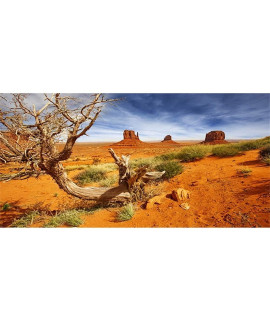 Awert 72X16 Inches Reptile Habitat Background Orange Desert Terrarium Background Durable Polyester Background