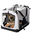 Soft-Sided Mesh Foldable Pet Travel Carrier, Pet Bag for Dogs and Cats, Large