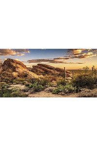 Awert Reptile Habitat Background Blue Sky Oasis Cactus Sun And Desert Terrarium Background 24X12 Inches Durable Polyester Background