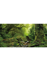 AWERT 48x24 inches Tropical Forest Terrarium Background Stream green Huge Tree Reptile Habitat Background Foggy Rainforest Aquarium Background Durable Polyester Background