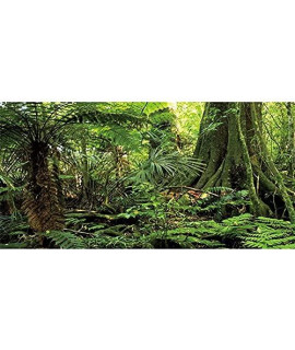 AWERT 48x24 inches Forest Terrarium Background Stone green Huge Tree Reptile Habitat Background Tropical Rainforest Aquarium Background Durable Polyester Background