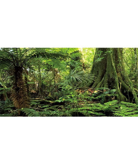 Awert 24X12 Inches Forest Terrarium Background Stone Green Huge Tree Reptile Habitat Background Tropical Rainforest Aquarium Background Durable Polyester Background