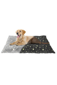 Downtown Pet Supply - Dog Bed, Kitten or Cat Bed - Glow in The Dark Stars Dog Crate or Cat Crate Nap Mat - Washer Safe, Plush, Warm and Cozy Kennel Pad - Large Dog Crate Mat - 45 x 30 in