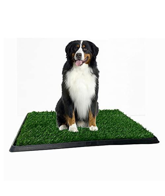 Omeuamigo Dog Pee Pads Artificial Grass Turf,Portable Pet Potty Trainer,Self Cleaning Litter Box Indoor Dog House,Dogs Potty Grass Training Mat (20"x25")