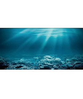 Awert 36X24 Inches Undersea Theme Aquarium Background Sunshine Underwater World Fish Tank Background Vinyl