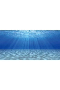 Awert Ocean Floor Background Undersea Theme Aquarium Background Sunshine Underwater World Fish Tank Background 48X18 Inches Polyester Background