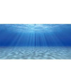 Awert 48X24 Inches Ocean Floor Undersea Aquarium Background Sunshine Underwater Fish Tank Background Polyester Background