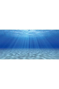 Awert 48X24 Inches Ocean Floor Undersea Aquarium Background Sunshine Underwater Fish Tank Background Polyester Background
