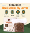 Supreme Grubs Natural Black Soldier Fly Larvae for Chickens, 85X More Calcium Than Mealworms-High Protein Grub Food Chicken Treats for Hens, Probiotic-Rich Chicken Feed, Calcium-Dense Bird Treat 1lb