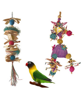 Fetch-It Pets 2 Pack Bird/Parrot Shazam & Hat Hat Hooray Foraging Toys Suitable for Small Parakeets, Cockatiel, Conures, Finches, Budgie, Macaws, Parrots, Love Birds