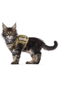 Tactical cat Harness for Walking Escape Proof, Soft Mesh Adjustable Pet Vest Harness for Large cat,Small Dog