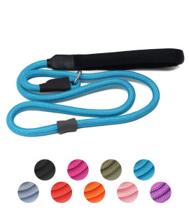 Strong Slip Rope Dog Training Leash (4ft) - Heavy Duty Durable Braided Nylon Lead with Rubber Stopper & Padded Handle - No Pull Walking Climbing for Medium Large Dogs (Blue, 1/2 x 4ft)