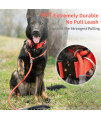 Strong Slip Rope Dog Training Leash (4ft) - Heavy Duty Durable Braided Nylon Lead with Rubber Stopper & Padded Handle - No Pull Walking Climbing for Medium Large Dogs (Orange, 1/2 x 4ft)