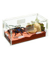 Small Acrylic Enclosure for Terrestrial Inverts, Reptiles, and Amphibians - Includes Attached DBDPet Pro-Tip Guide (8"x4"x4")