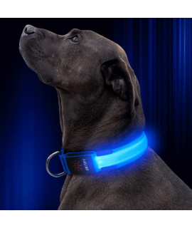 Illumifun Led Dog Collar, Usb Rechargeable Lighted Up Dog Collar, Adjustable Nylon Webbing Glowing Pet Safety Collar For Your Dogs (Blue, Medium)