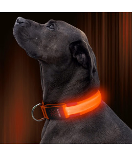 Illumifun Led Dog Collar, Usb Rechargeable Lighted Up Dog Collar, Reflective Adjustable Glowing Pet Safety Collar For Your Dogs Walking At Night (Orange, Medium)