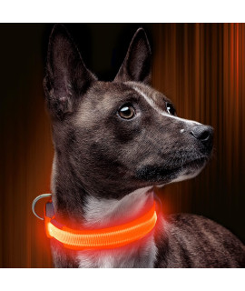 Illumifun Led Dog Collar, Nylon Adjustable Glowing Pet Safety Collar, Usb Rechargeable Light Up Collars For Your Dogs Walking At Night (Orange, Small)