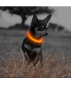 Illumifun Led Dog Collar, Usb Rechargeable Glowing Pet Safety Collar, Adjustable Nylon Webbing Light Up Collars For Your Puppy (Orange3, X-Small)