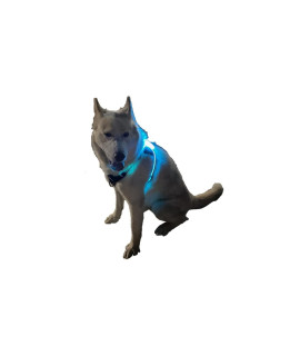 Lighted LED Dog Harness for You and Your Dogs Safety Walking at Night Medium